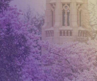 Continuum's 2022 Impact Report