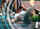 Marketing Services